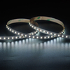 2216 240LEDS/M CCT 24 V 8 mm