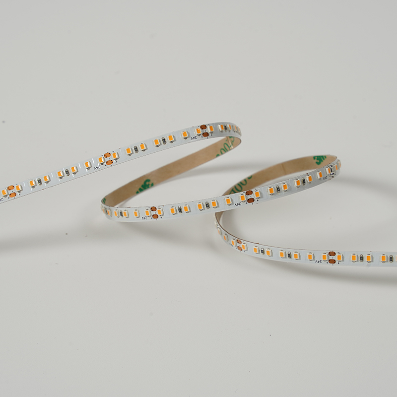 2216 210leds/m 24 V 5mm