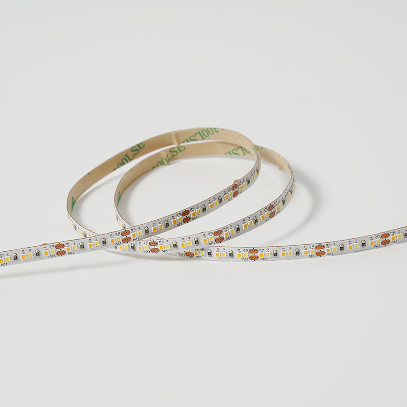 2216 240LEDS/M CCT 24 V 8 mm