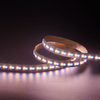 5050+2835 168LEDS/M RGB+W 24 V 12 mm