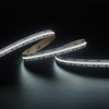 2216 300LEDS/M HL 24 V 12 mm