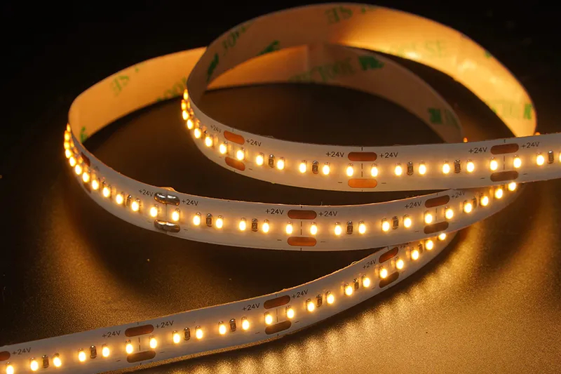 2110 204leds/m 24 V 10 mm