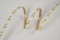 2835 120LEDS/M 12V 8mm