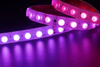 5050 42LEDS/M RGB 2811/1903 24V 22 mm