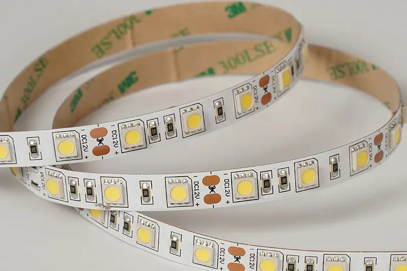 5050 60LEDS/M 12 V 10 mm
