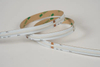 COB 560LEDS/M RGBW 24 V 12 mm cri ≥ 90