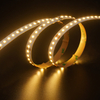 2835 144leds/m 24 V 10 mm