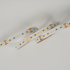 2216 264leds/m cct 8mm 24 V