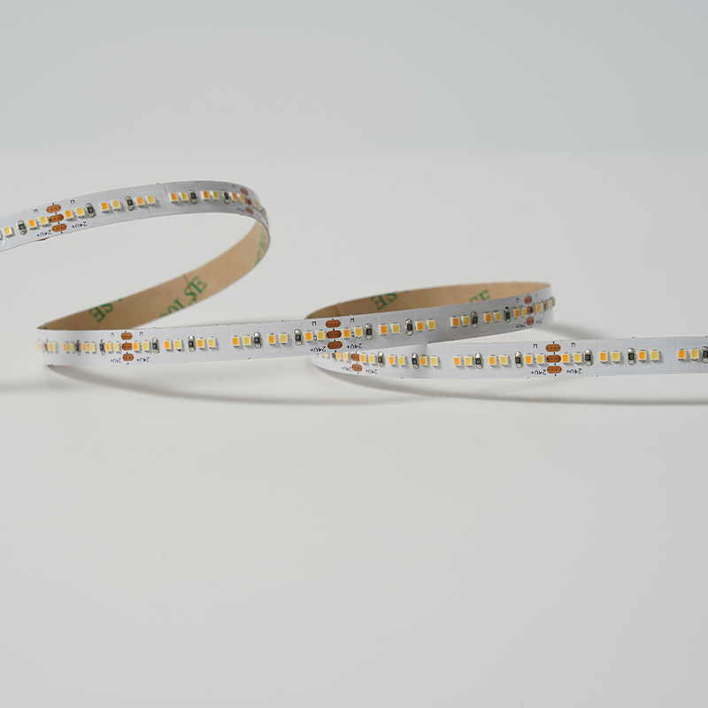 2216 240LEDS/M CCT 24 V 8 mm