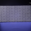 5050 4 in 1 288leds/m RGBW 24 V 480*240 mm