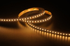 2835 120LEDS/M CCT 24 V 10 mm