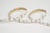 5050 5in1 60LEDS/M RGBCCT 12V 12 mm
