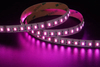 5050 5in1 96LEDS/M RGBCCT 24 V 12 mm 