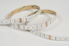 5050 4in1 84LEDS/M RGBW 24 V 12 mm