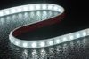 2835 42LEDS/M CCT 24 V 22 mm