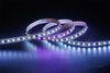 3838 96LEDS/M RGB 2818 24 V 10 mm