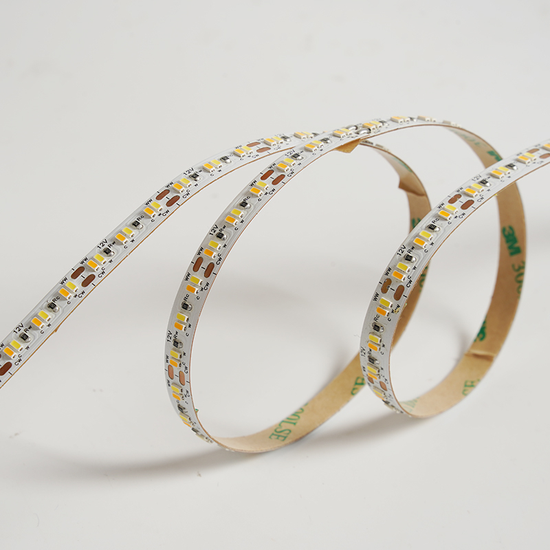 3014 240LEDS/M CCT 12V 8 mm
