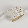 5050+2835 120LEDS/M RGB+W 24 V 12 mm
