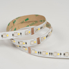 5050 4in1 72LEDS/M RGBW 24 V 12 mm