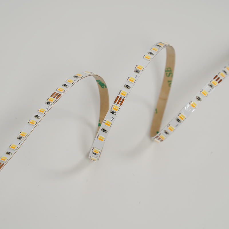2835 120LEDS/M 2in1 CCT 24 V 5 mm