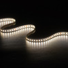 2835 2in1 120LEDS/M CCT 2811/1903IC 24 V 10 mm