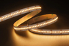 2216 300LEDS/M 24 V 10 mm
