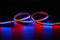 5050 144LEDS/M RGB 2812 5V 10 mm