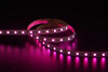 5050 60LEDS/M RGB 12 V 10 mm