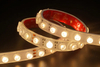 2835 42LEDS/M CCT 24 V 22 mm