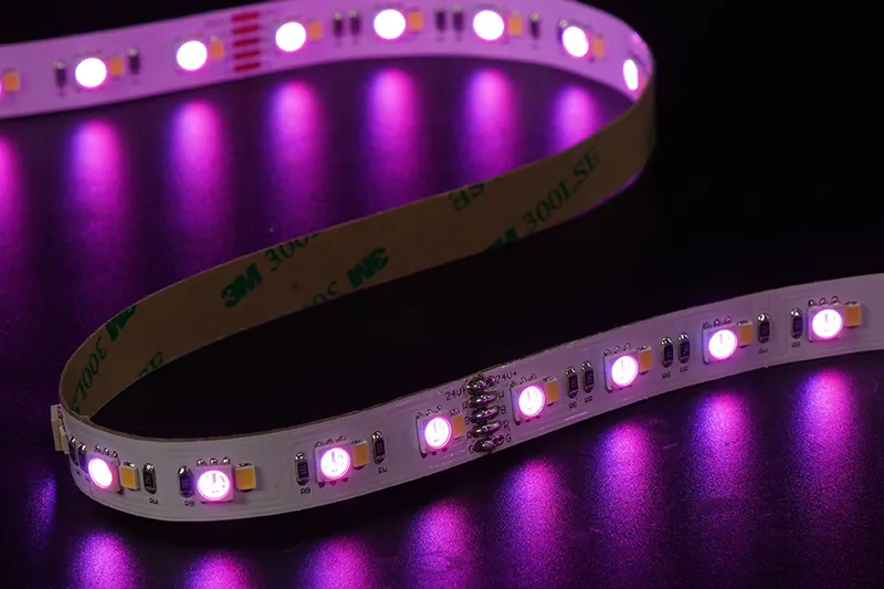 5050+2835 120LEDS/M RGB+W 24 V 12 mm