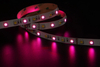 5050 60LEDS/M RGB+W 24V 12 mm