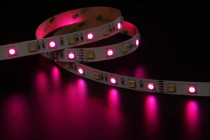 5050 60LEDS/M RGB+W 24V 12 mm