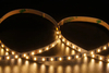 3014 120LEDS/M 24 V 5 mm