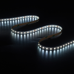 2216 240LEDS/M CCT 12V 6 mm