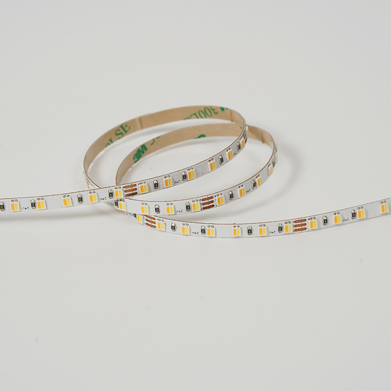 2835 120LEDS/M 2in1 CCT 24 V 5 mm