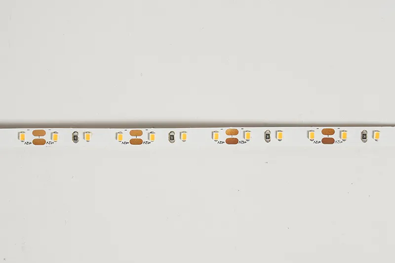 2216 120LEDS 12 V 5 mm