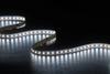 2216 240LEDS/M CCT 12V 8 mm