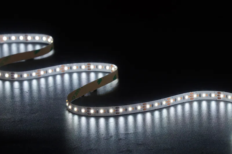 2216 240LEDS/M CCT 12V 8 mm