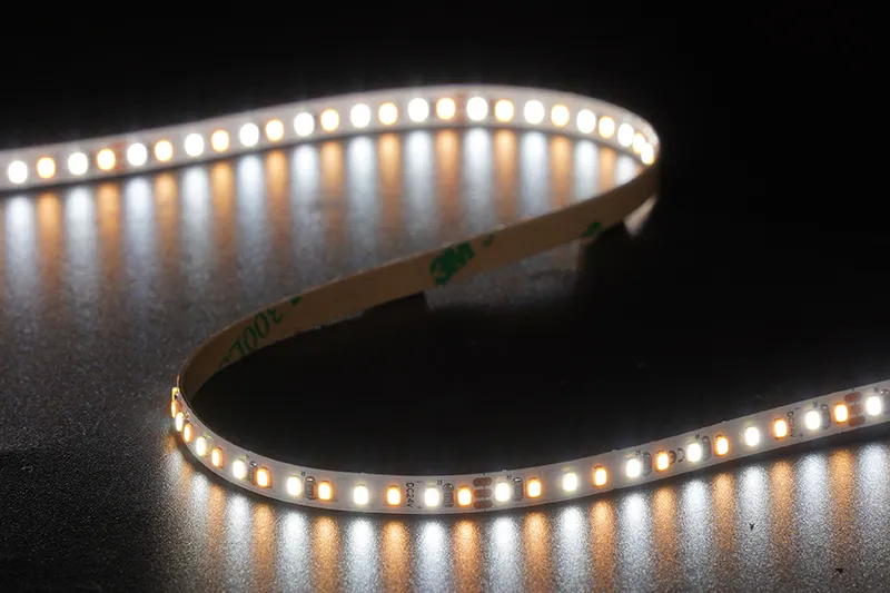 2216 240LEDS/M CCT 24 V 5 mm