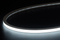 283 16 × 12 positives Licht