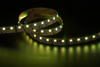 5050 120LEDS/M RGB+W 24V 15 mm