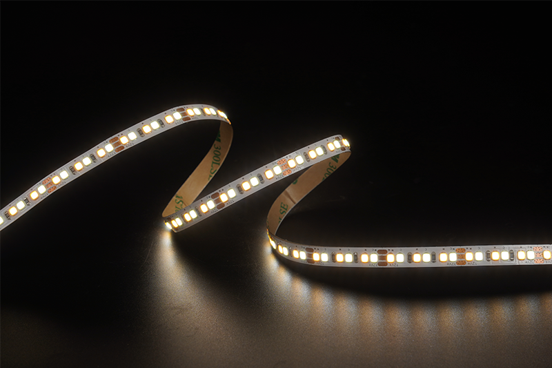 2835 192LEDS/M CCT 12V 8 mm
