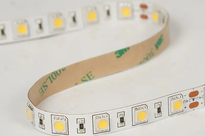 5050 60LEDS/M 24 V 10 mm