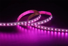 4040 4in1 96LEDS/M RGBW 24 V 10 mm