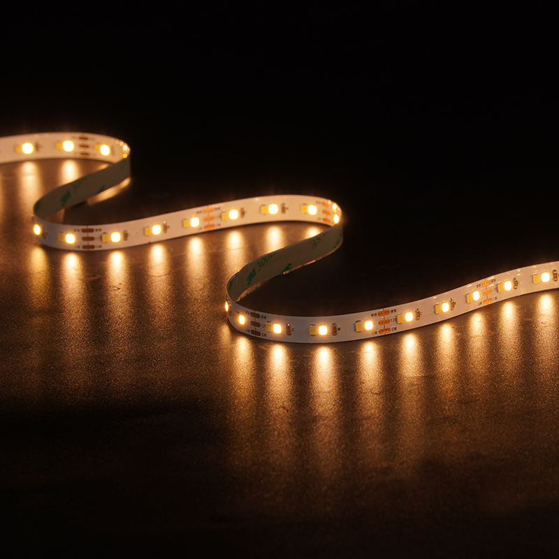 2835 120LEDS/M CCT 12 V 10 mm