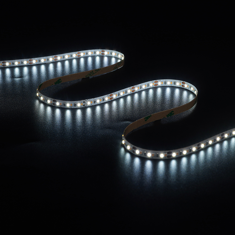 2216 240LEDS/M CCT 24 V 8 mm