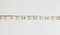 5050 30LEDS/M 24 V 10 mm