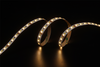 2835 192LEDS/M CCT 12V 8 mm
