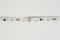 5050 4in1 60LEDS/M RGBW 512 24 V 12 mm
