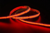 COB 840LEDS/M RGBCW 24 V 12 mm cri ≥ 90